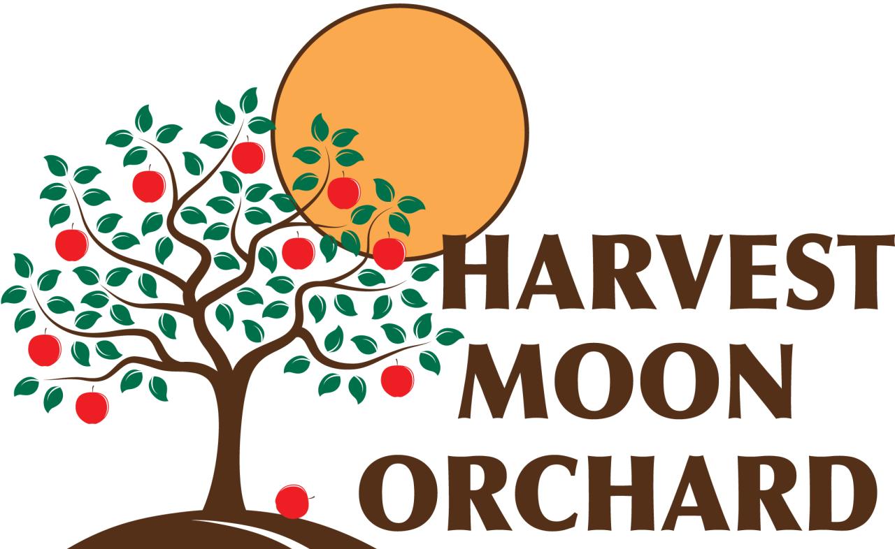 How to Enjoy the Best Seasonal Fun at Harvest Moon Orchard