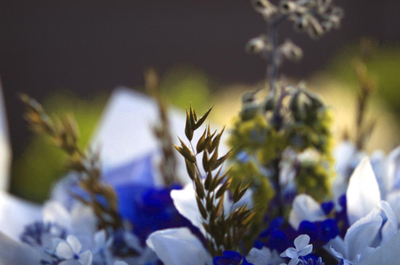 The Best Ways to Prepare Blue Flowered Plants for Salads